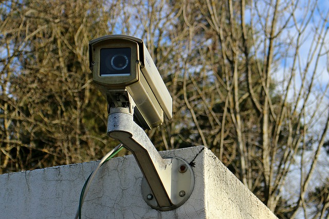 BLINK XT2-kompaktowa kamera do monitoringu